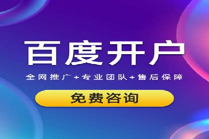 SEO与百度推广结合的营销策略——经典案例解析